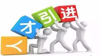 河北招生代理網(wǎng) 專業(yè)代理代辦服務(wù)助力教育項目發(fā)展